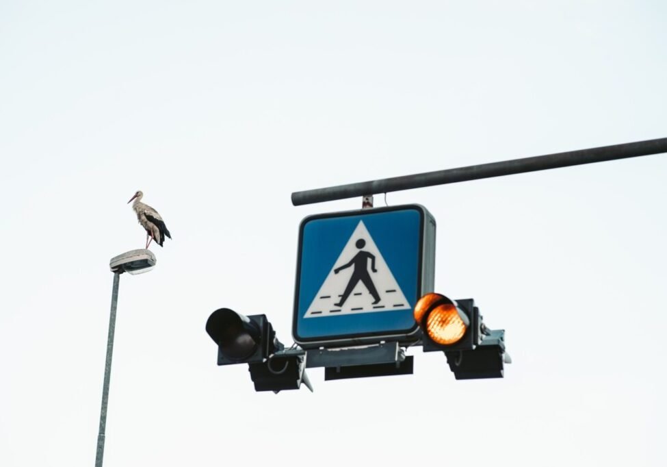 Pedestrian Accident Lawyer in Atlanta