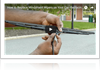 Replacing your Windshield Wipers